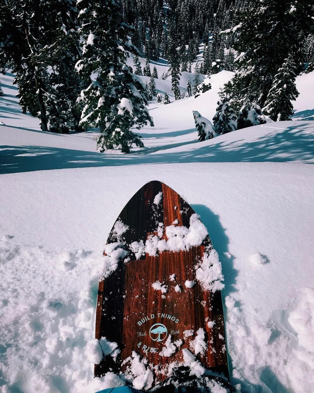 Mountaintop Snowshoe Tours