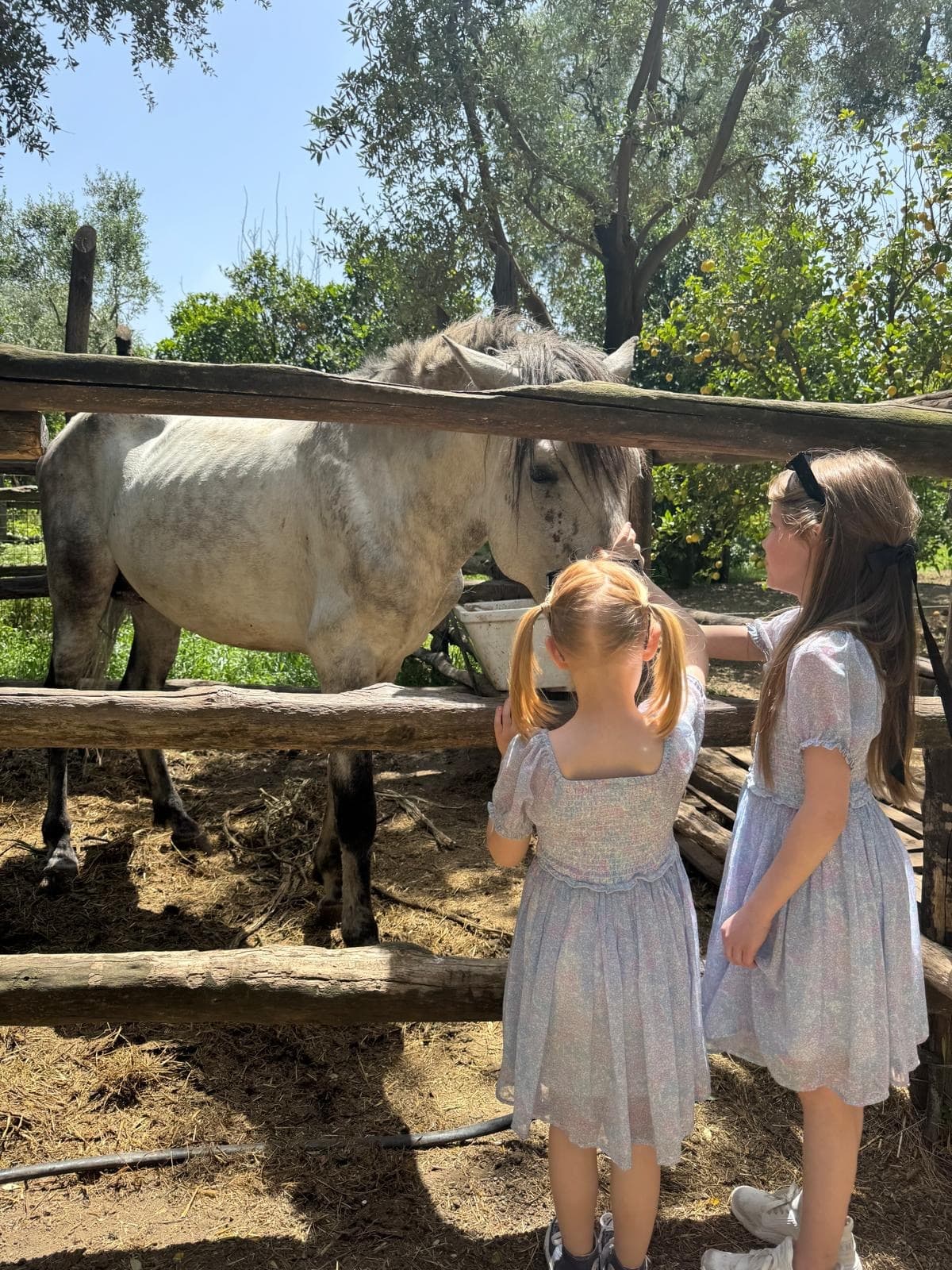 Experience with Farm Animals