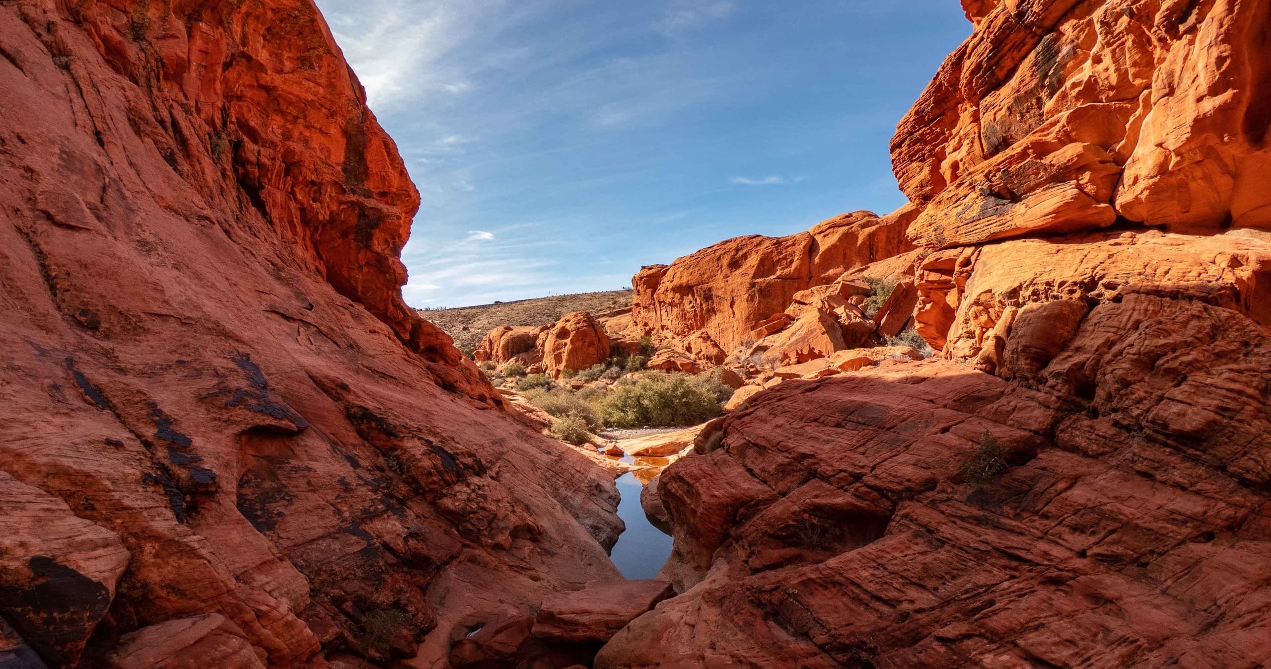 Red Rock Scenic Loop Tour