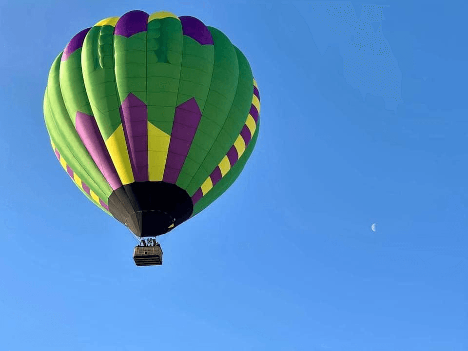 Shared Flight - Geneva Jester