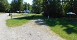 Camp Site 31