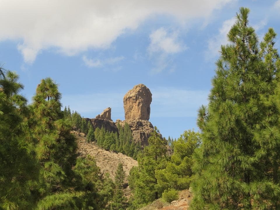 Excursión a las Cumbres de Gran Canaria