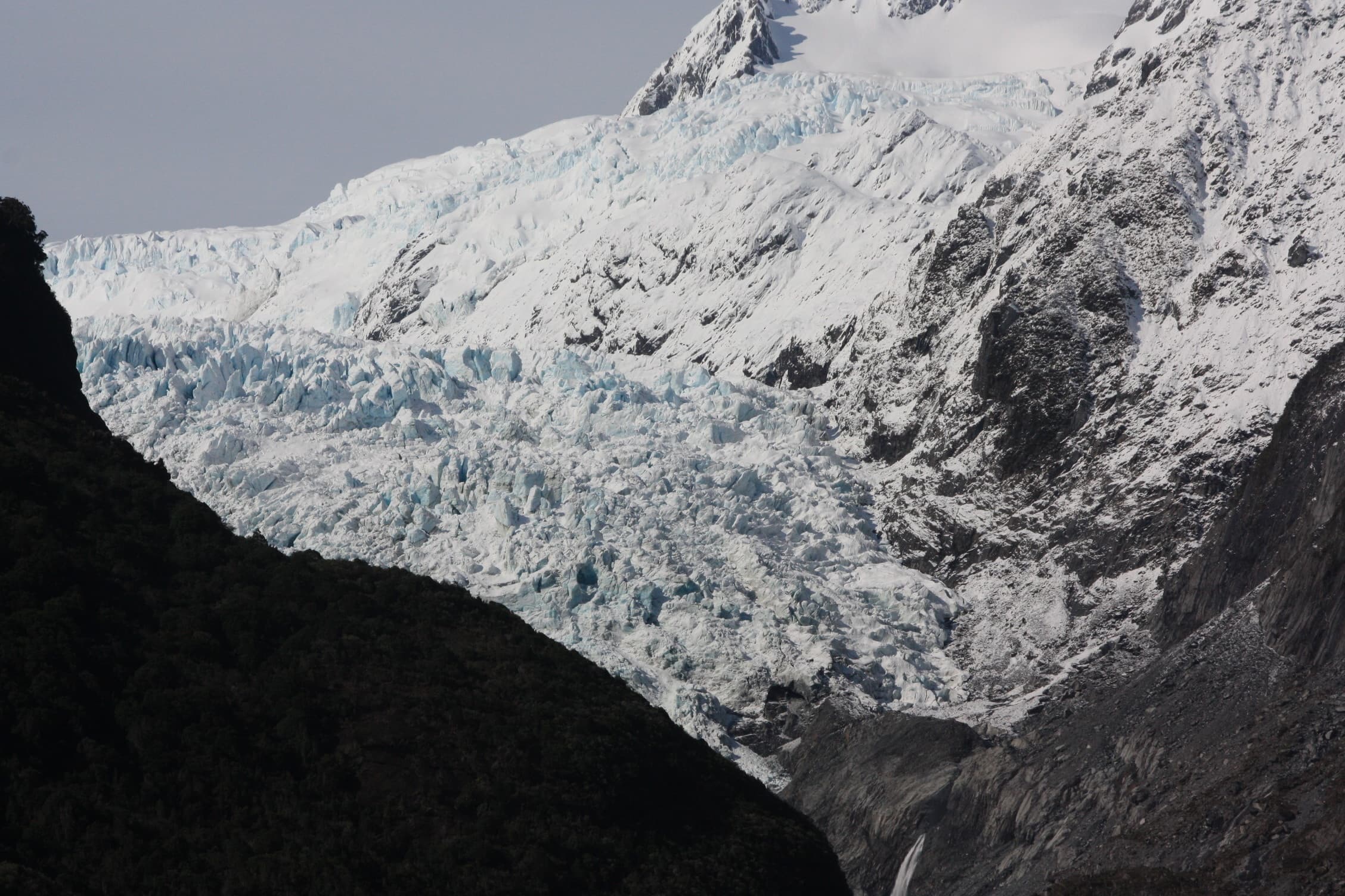 Franz Josef Nature Tour