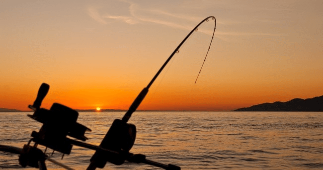 Public Bottom Fishing - Eight Hours