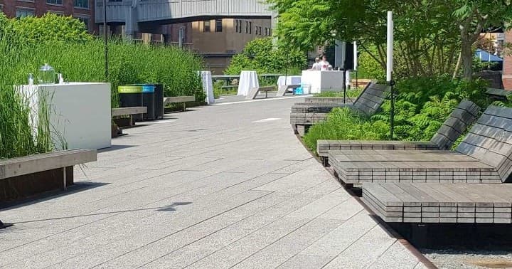 Secrets of the High Line