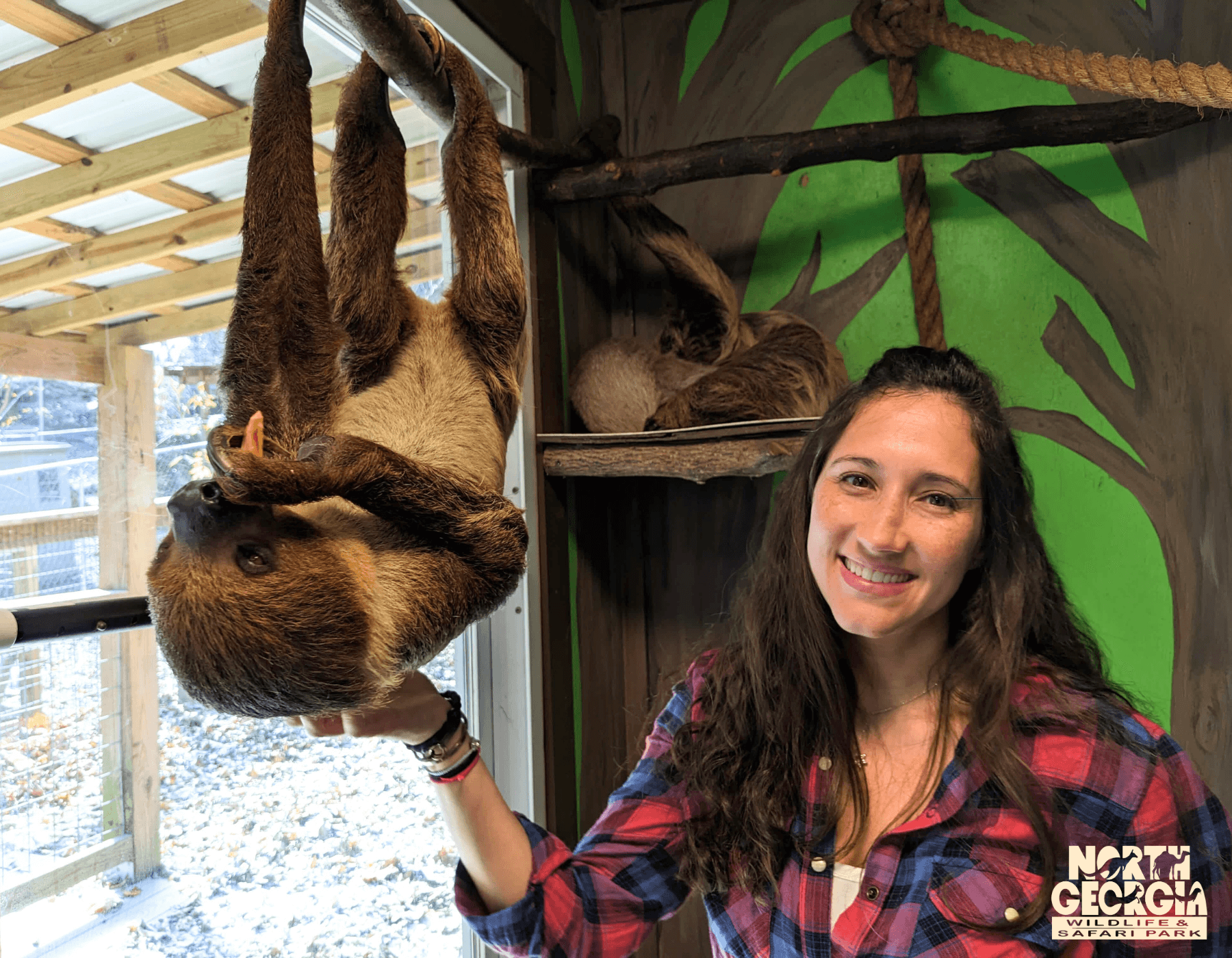 Sloth Experience