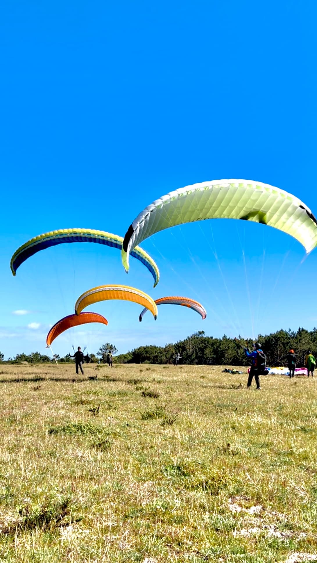Paragliding Coaching