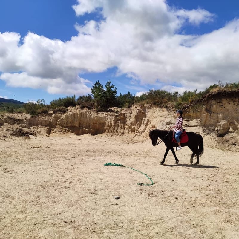 Passeio a Cavalo