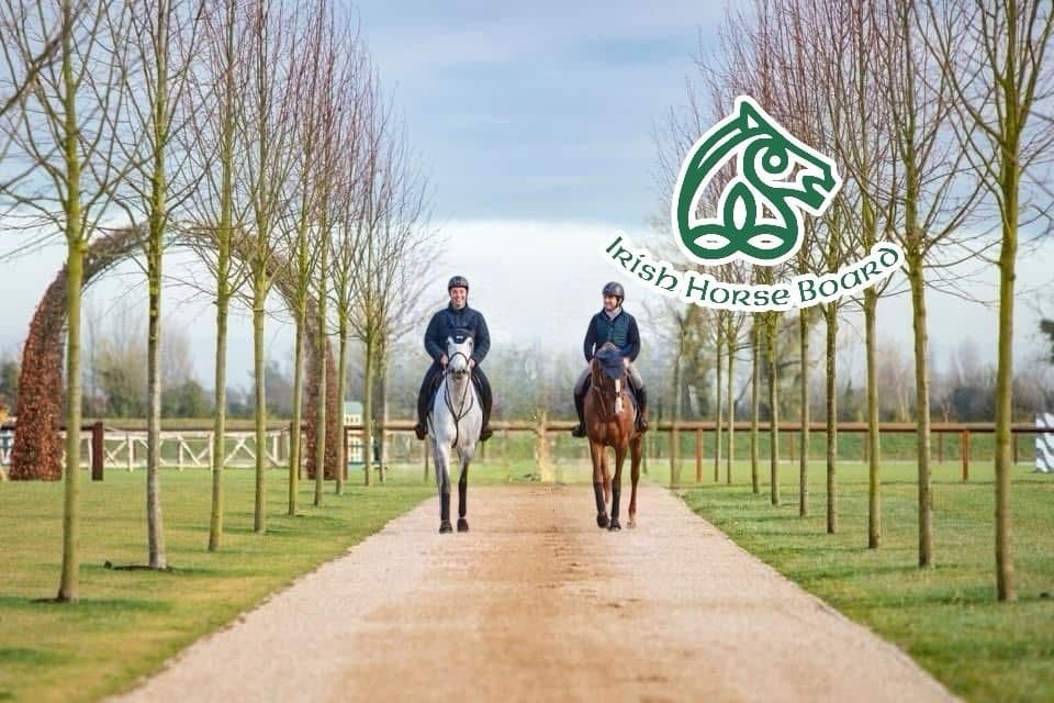 Equine & Culinary Adventure