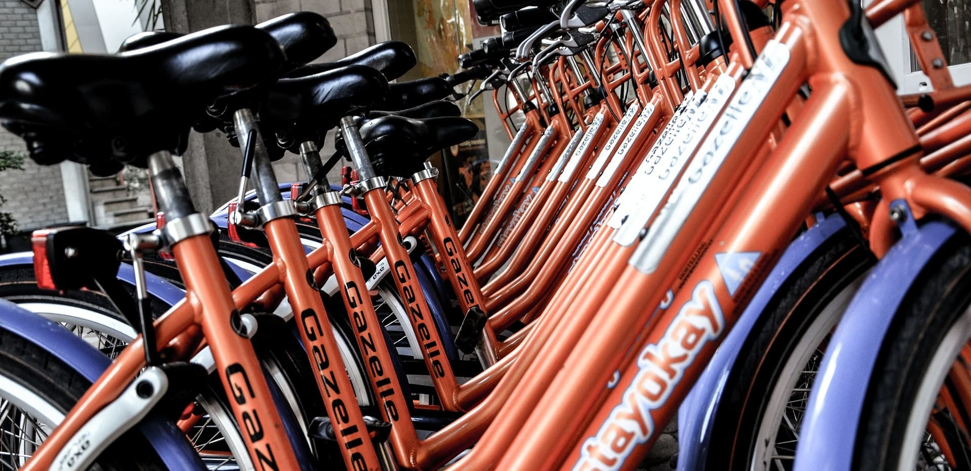 Full Day Bike Rental