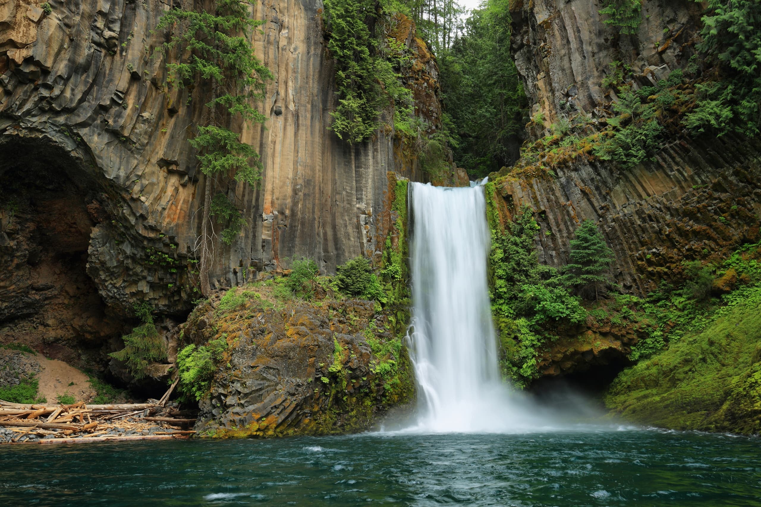 Columbia Gorge Waterfalls: Botanical Discovery Hike