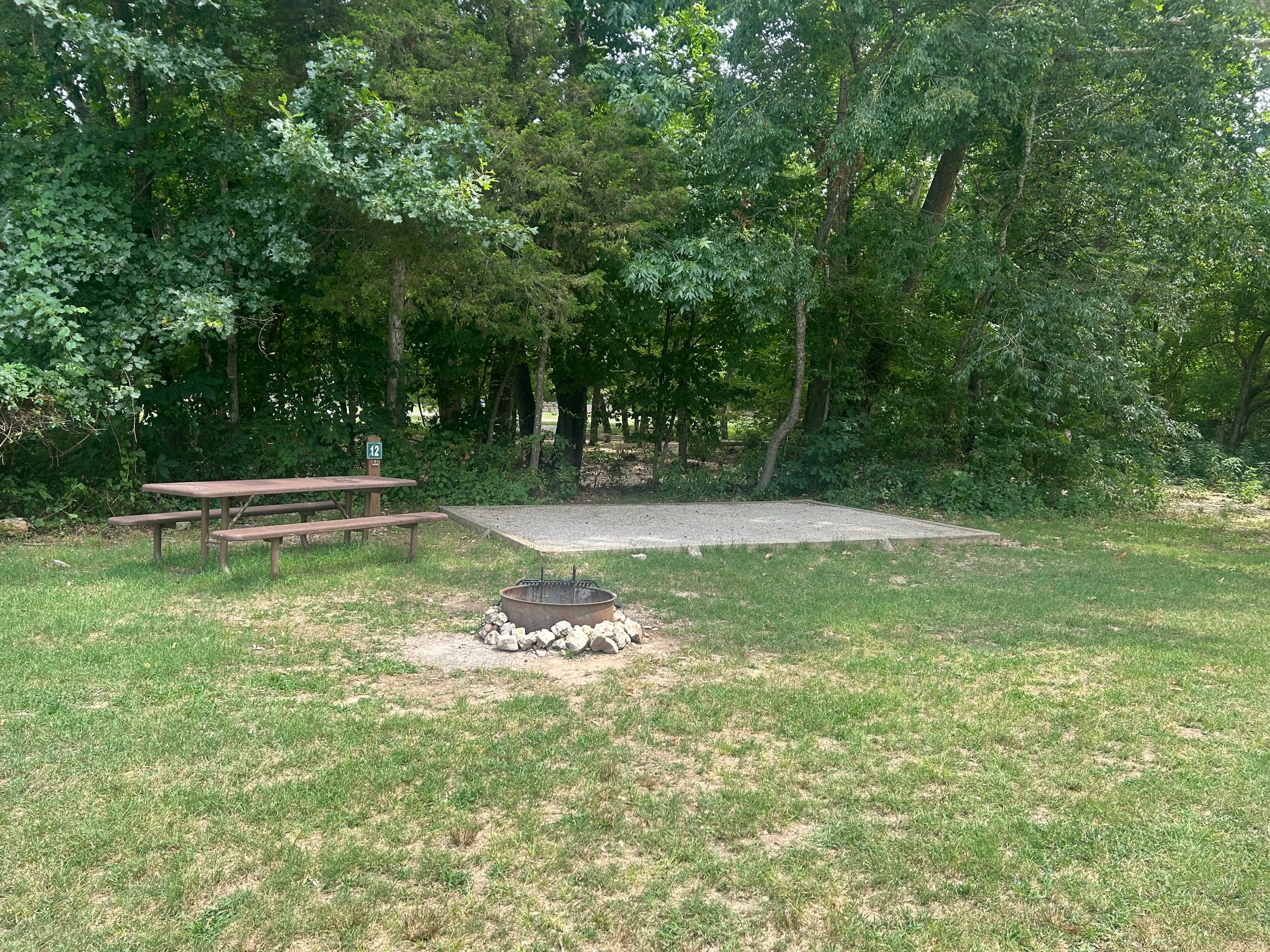 Meadow Campsite 12 (M12)