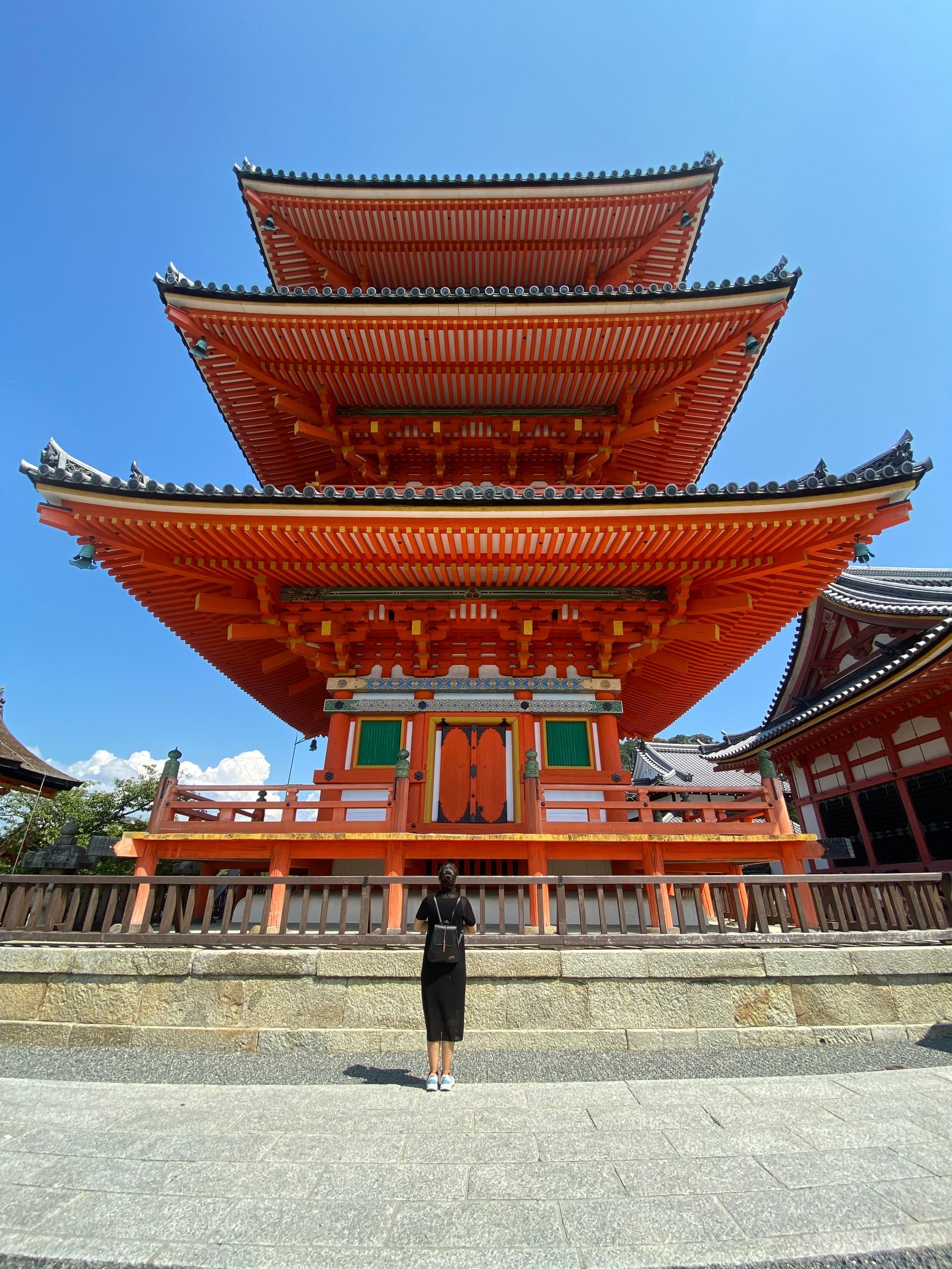 Discover Nara Kyoto and Fushimi Inari from Osaka