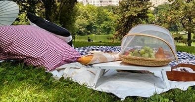 Catering Picnic Option One