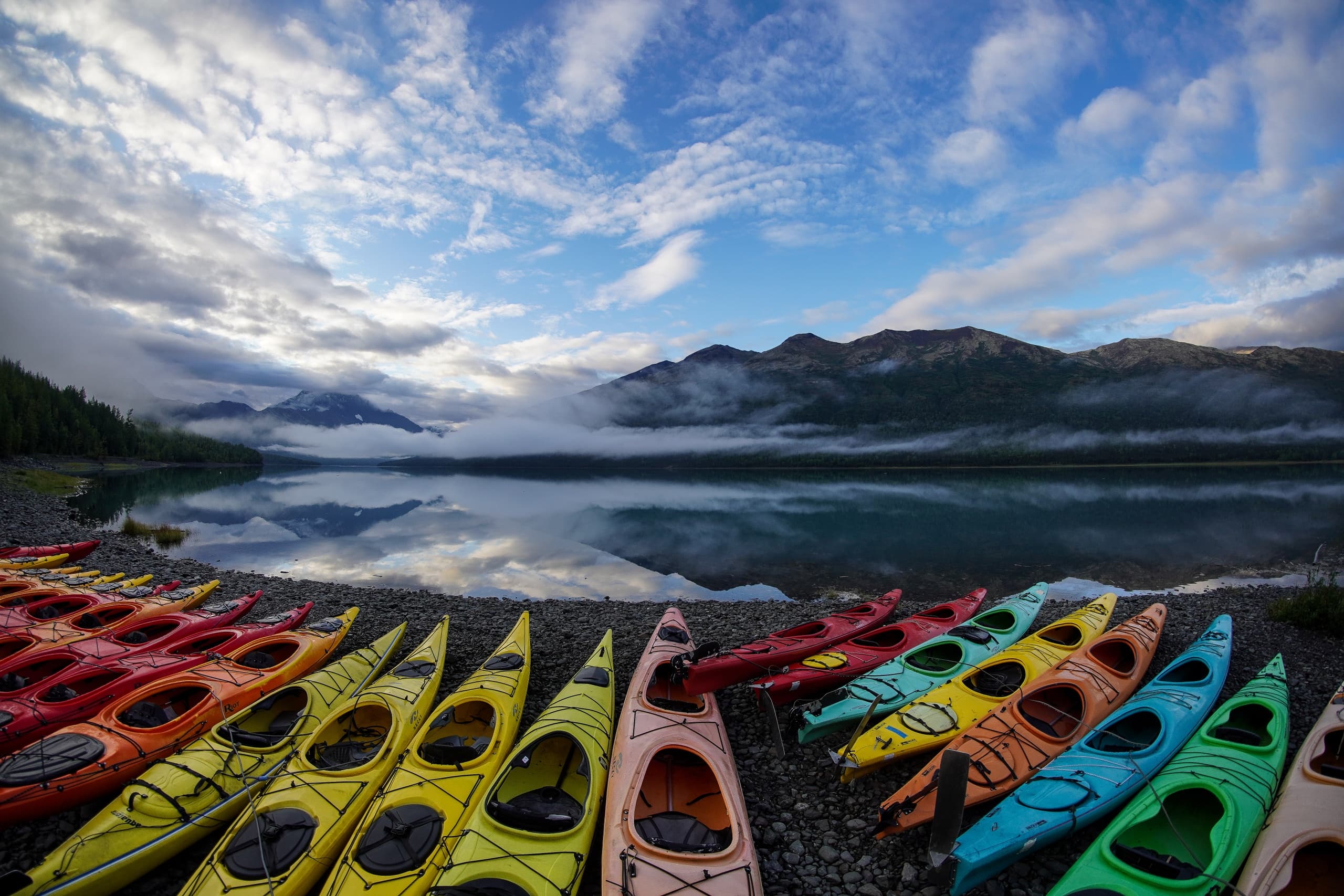 Half Day Guided Kayaking Tour