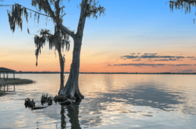 Pontoon Pub Crawl