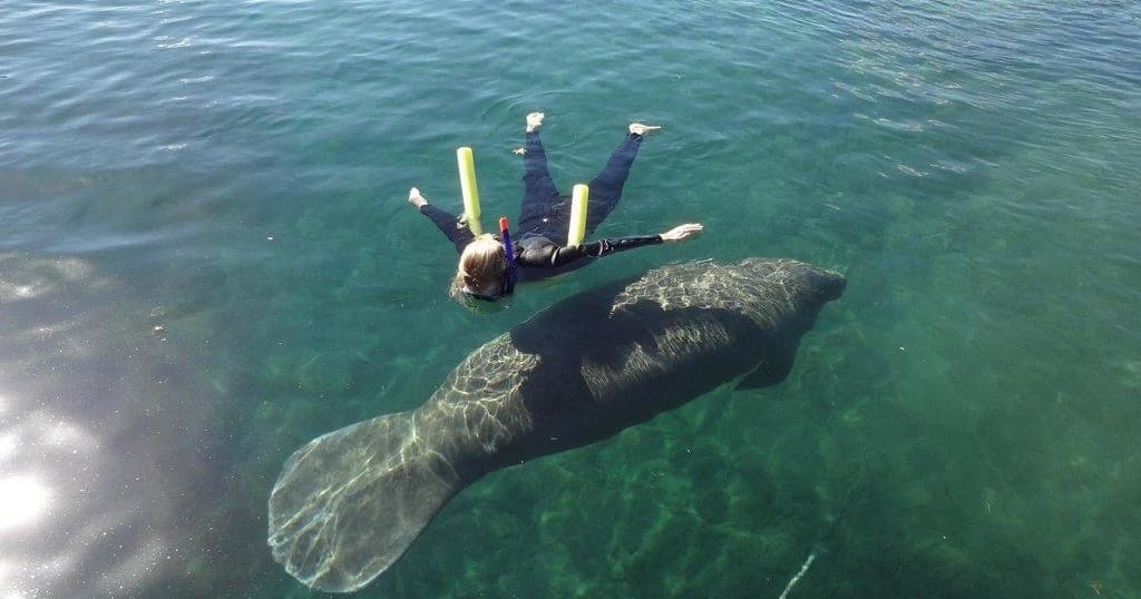 Adventure Diving -(Group Tour)