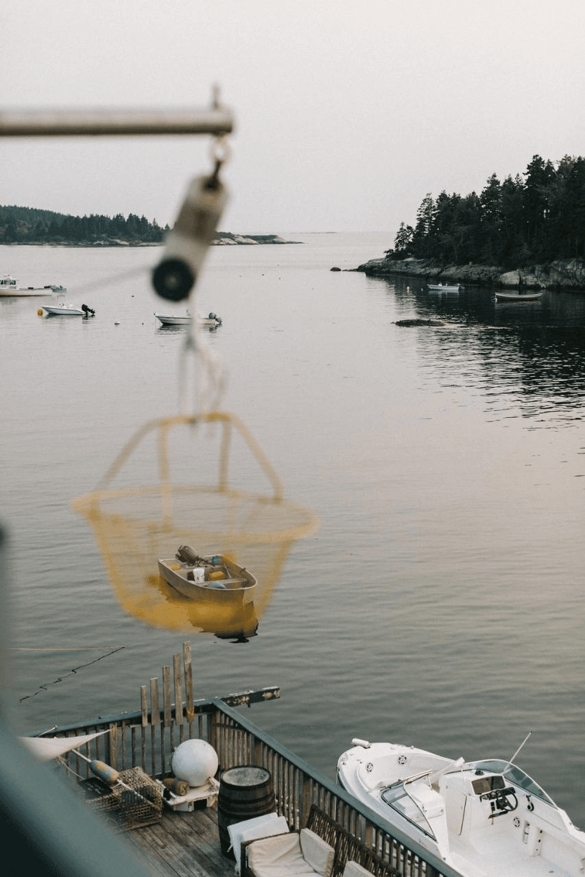 Summer Half-Day Seafood Adventure