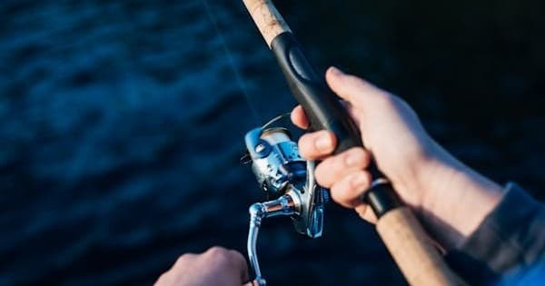 Fishing Experience
