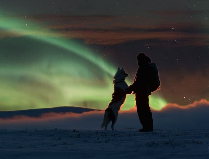 Aurora Hunting with Siberian Huskies