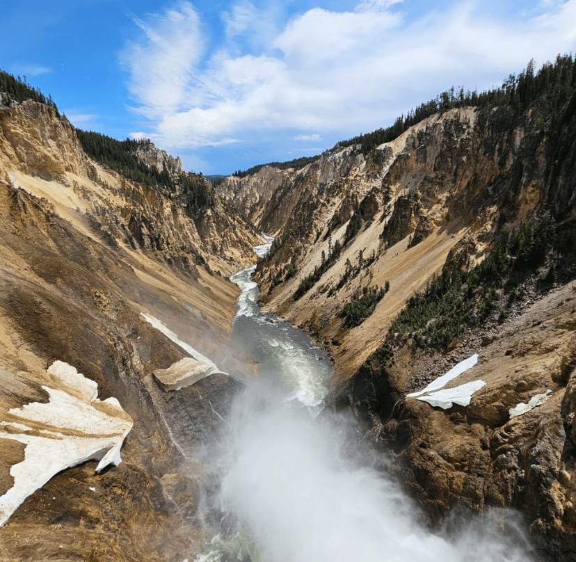 Yellowstone “The Volcano” Tours!