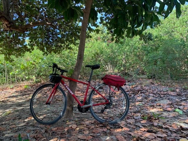 Five Day Bike Rental