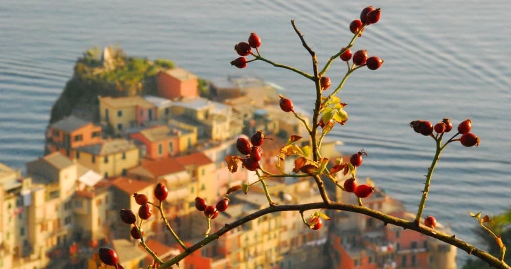 Long Distance Packages