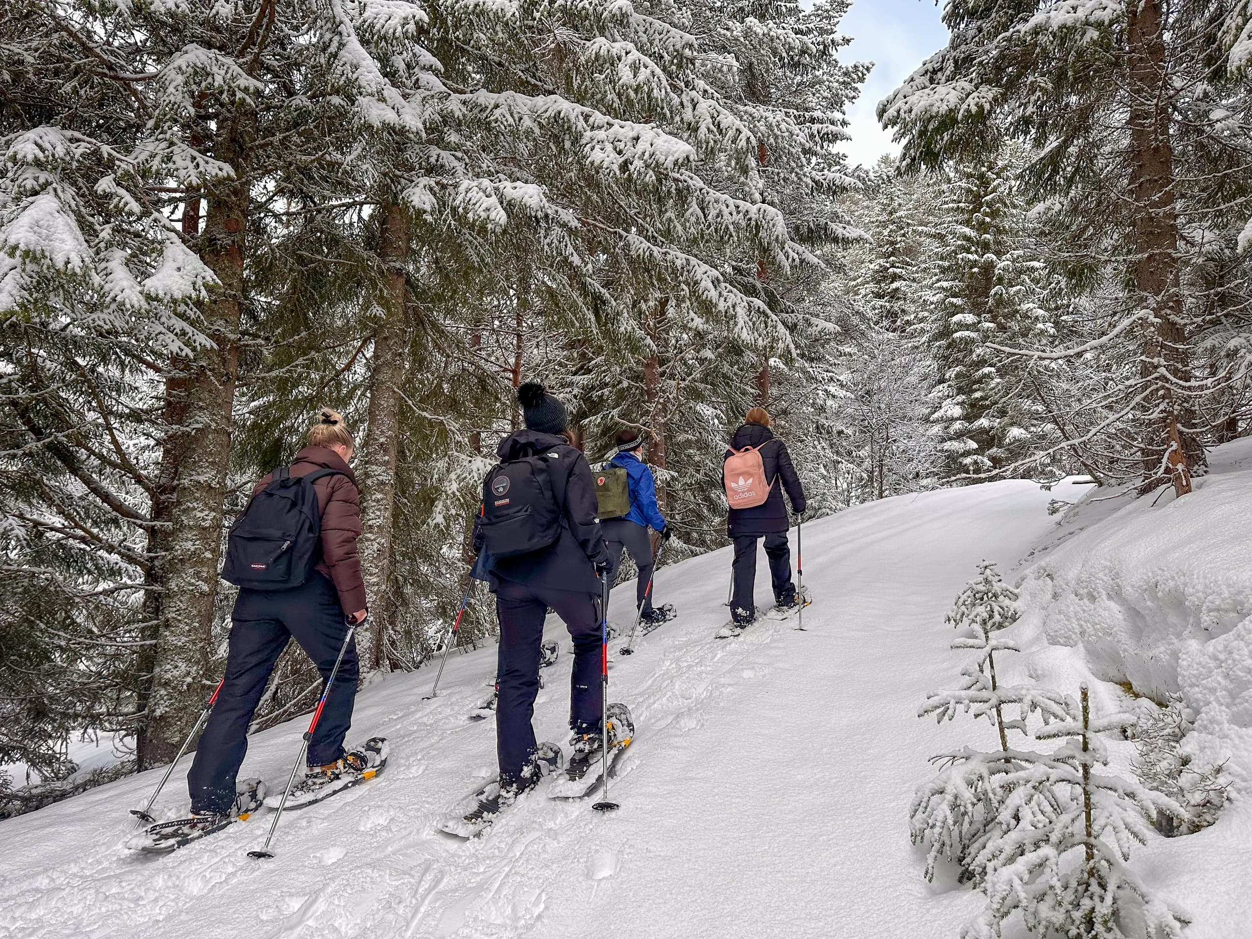 EXCLUSIVE SNOWSHOES TOUR – PRIVATE GUIDING