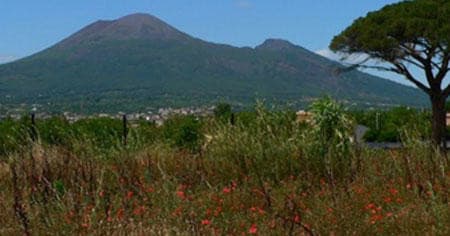 POMPEII AND MOUNT VESUVIUS HIKE