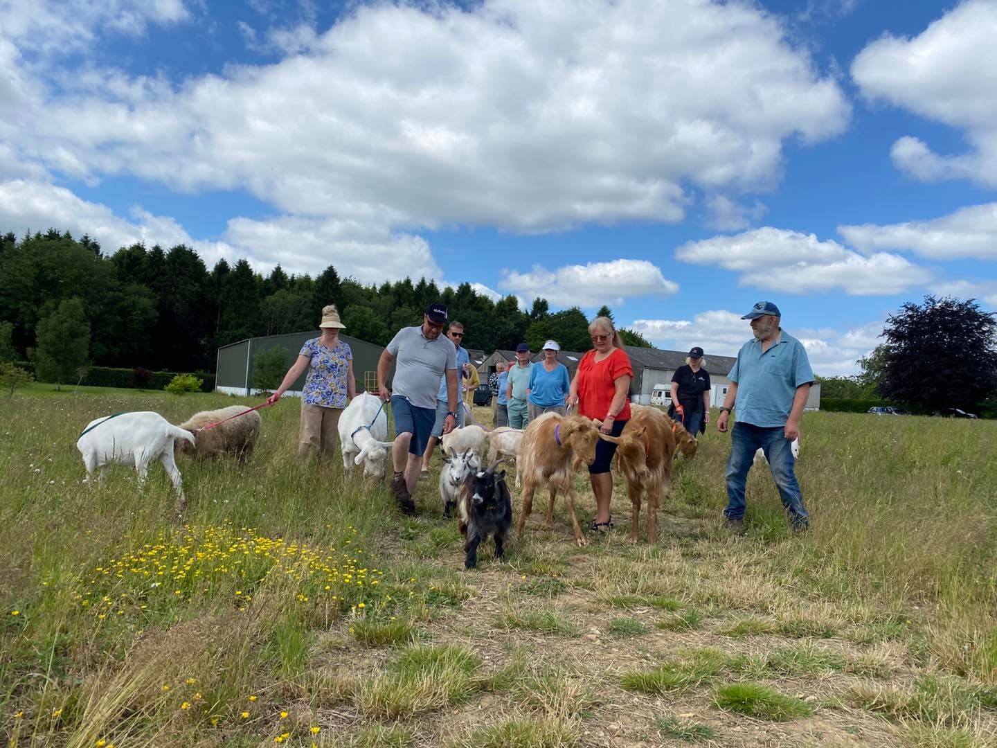Public Goat & Sheep Walk