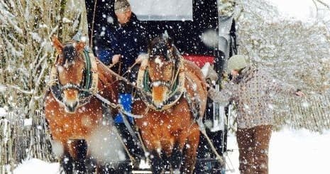 Horse Carriage Ride and Tour
