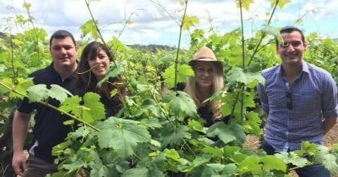 DaVine Wine Tour