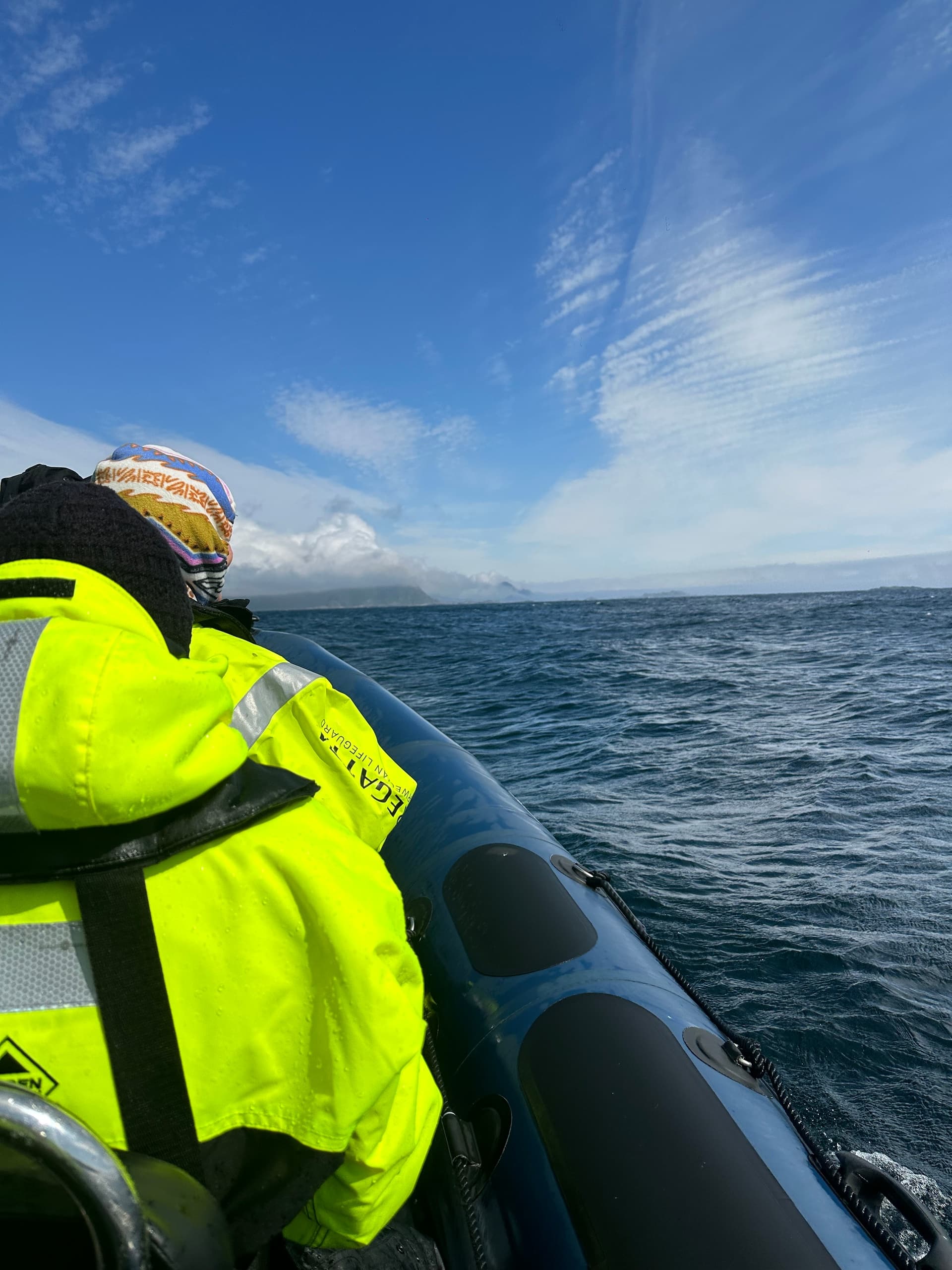 RIB Safari