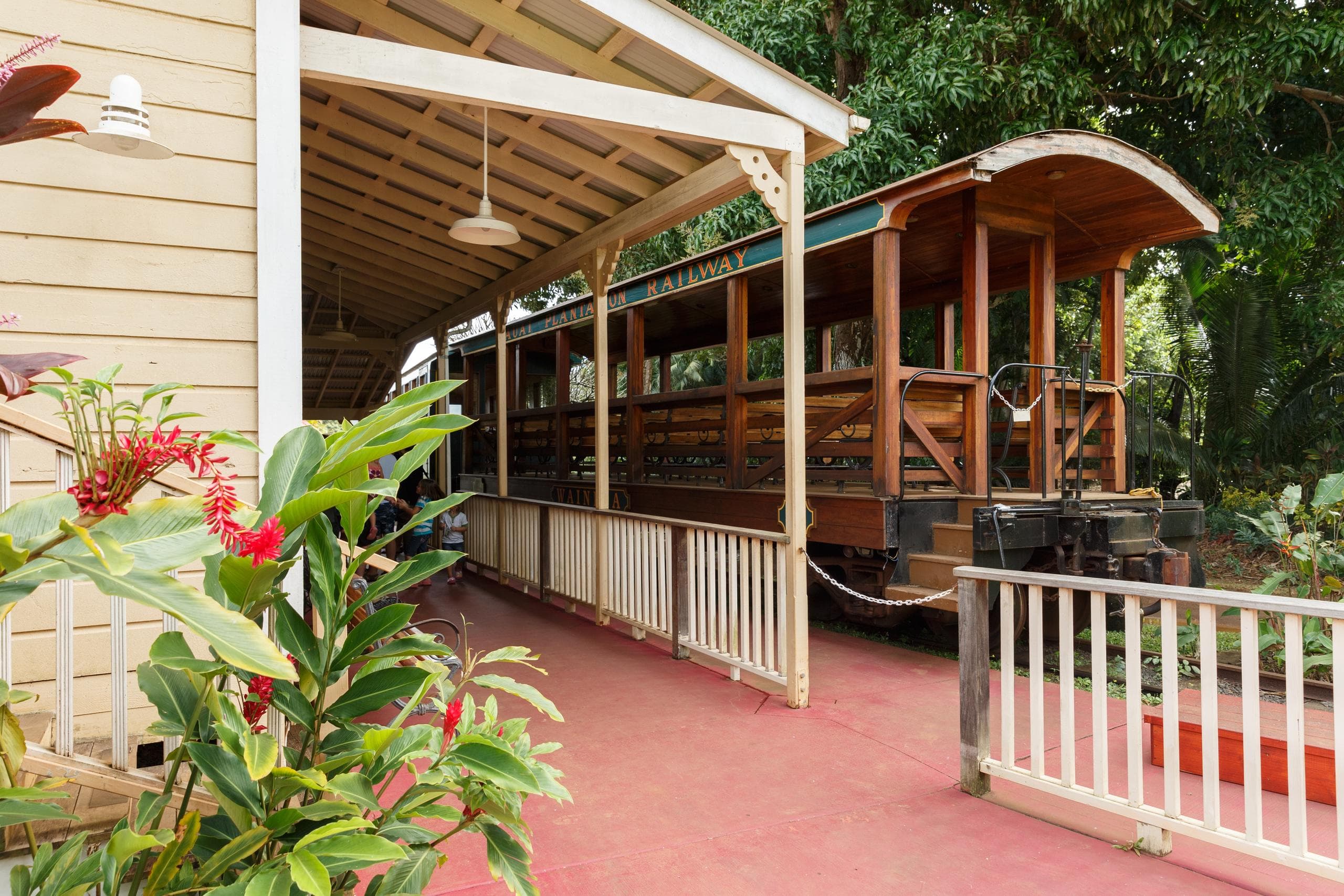 Hawaiian Package with Train Ride
