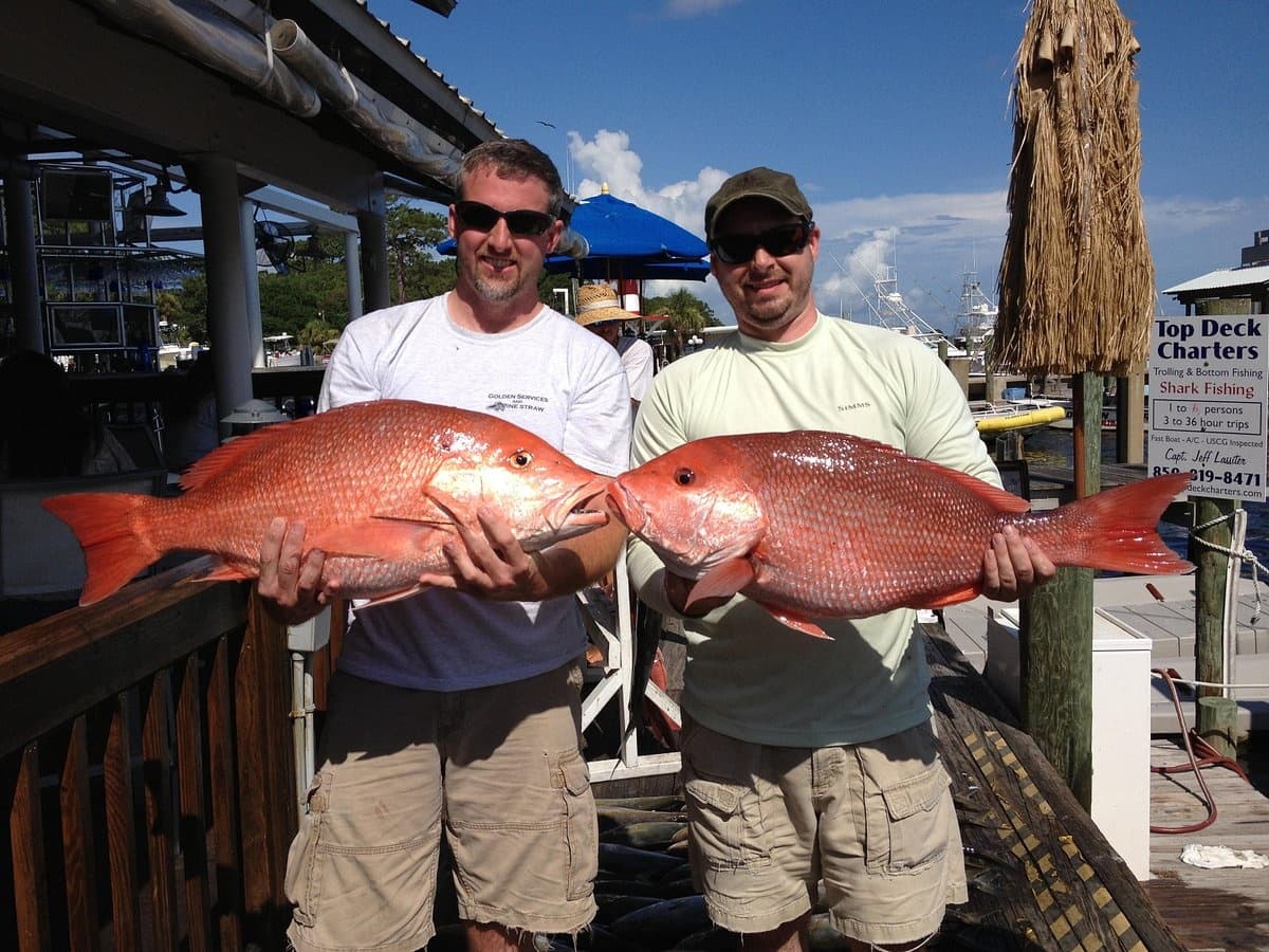 10 Hour Bottom Fishing