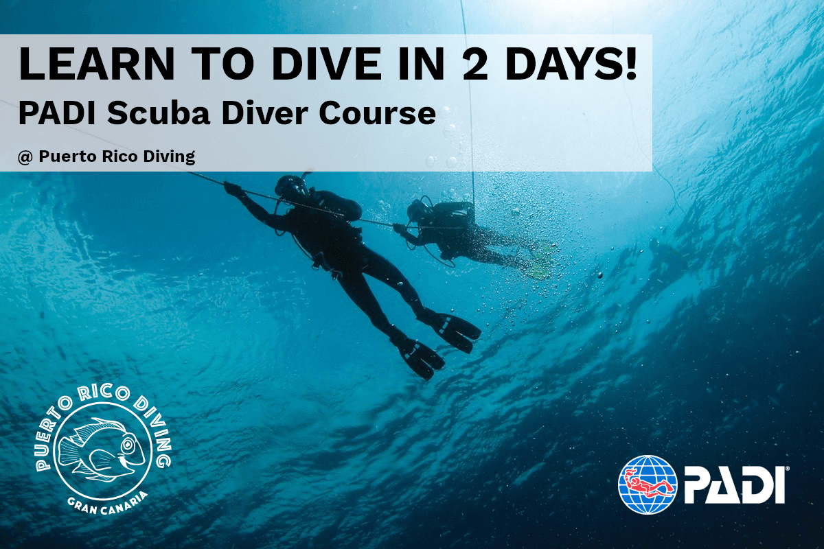 PADI Scuba Diver Course Deposit