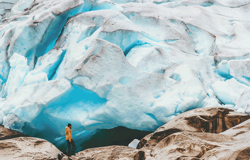Wilderness, Wildlife, Glacier Experience