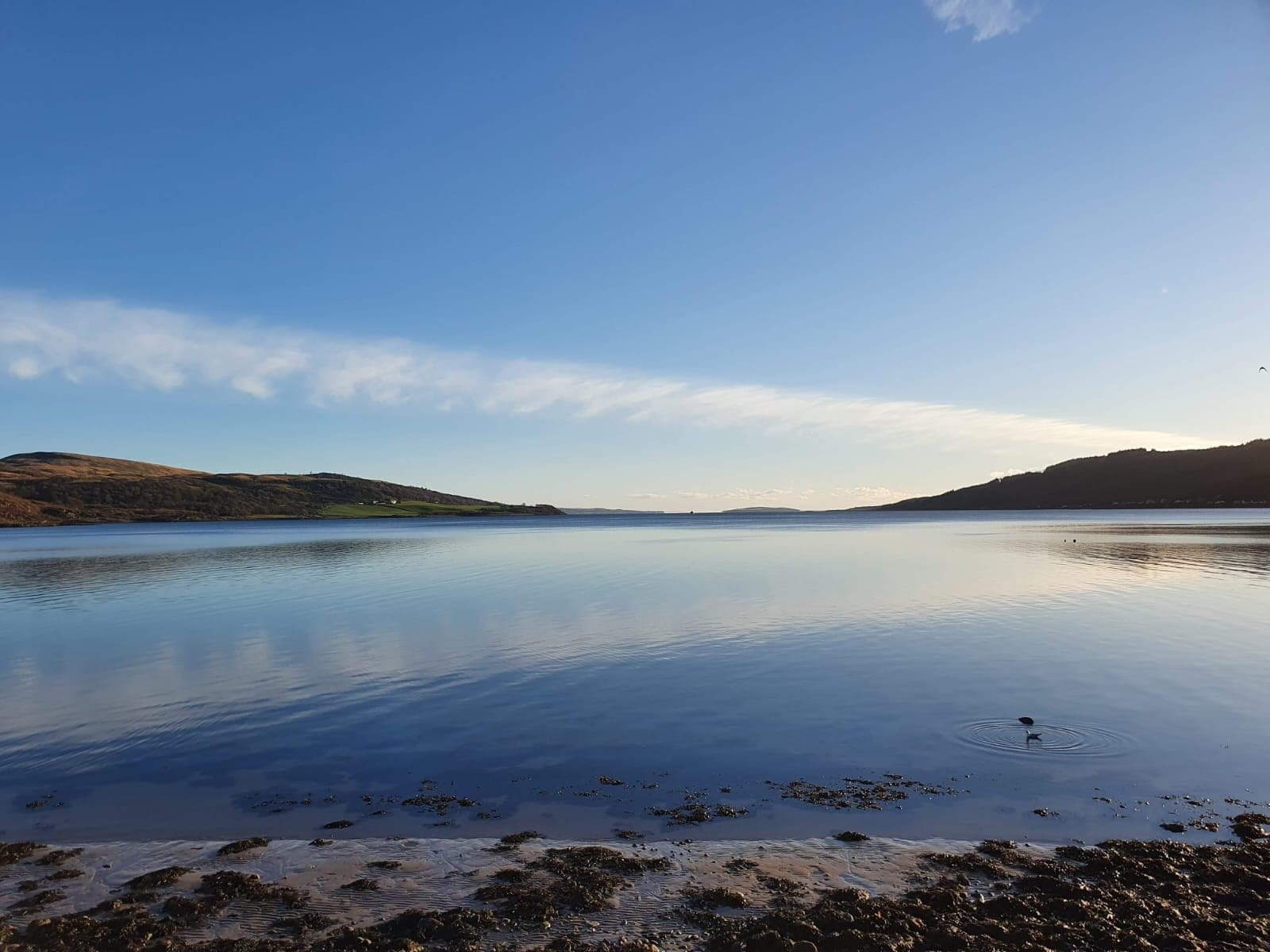 Kyles of Bute Cruise