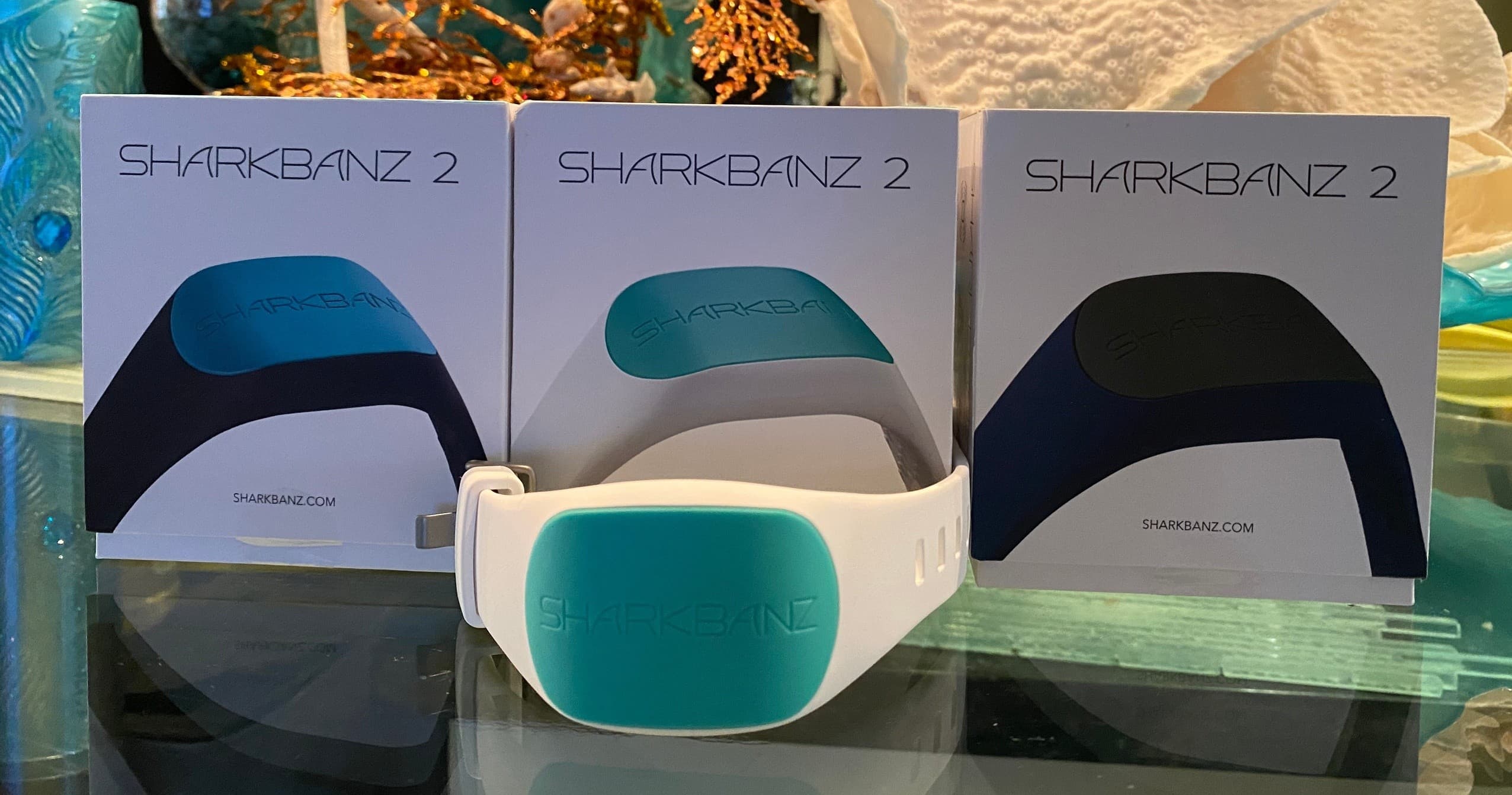 Shark Banz 2 Daily Rental