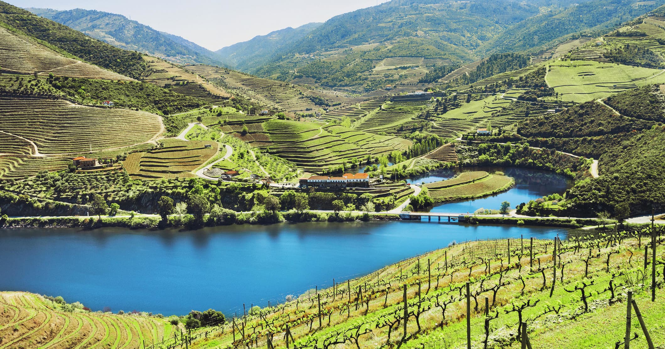 Douro Valley Tour: 2 Wineries, Lunch and River Cruise