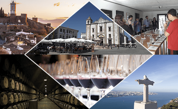 Vinho Évora | 1 adega com degustação de vinhos 9/10 Horas