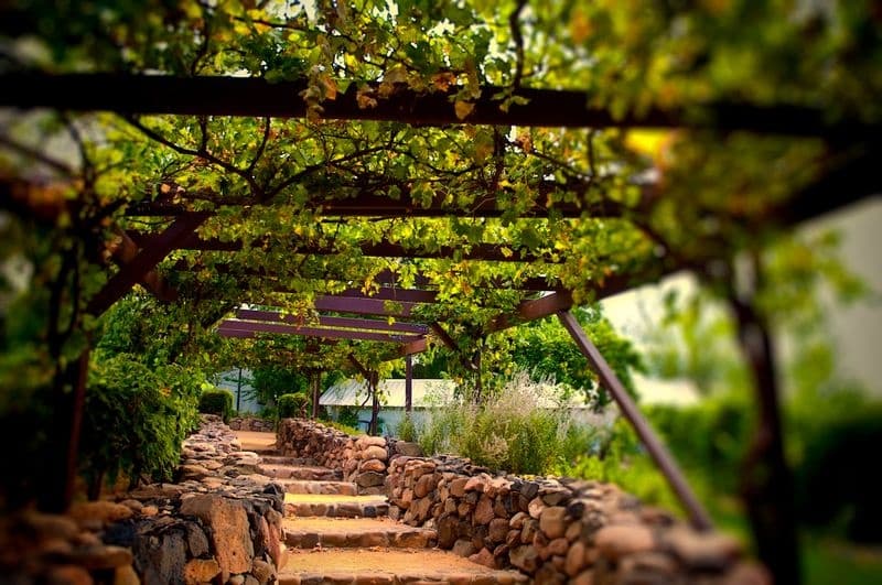 Phoenix to Wine Country