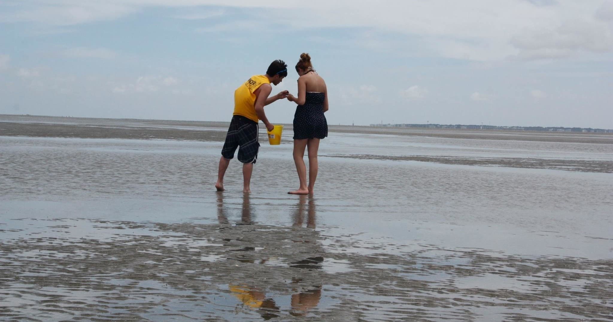 SCM PVT Beachcombing 12p