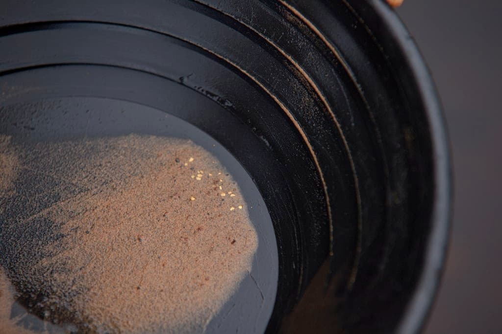 Gold Panning with Instructor