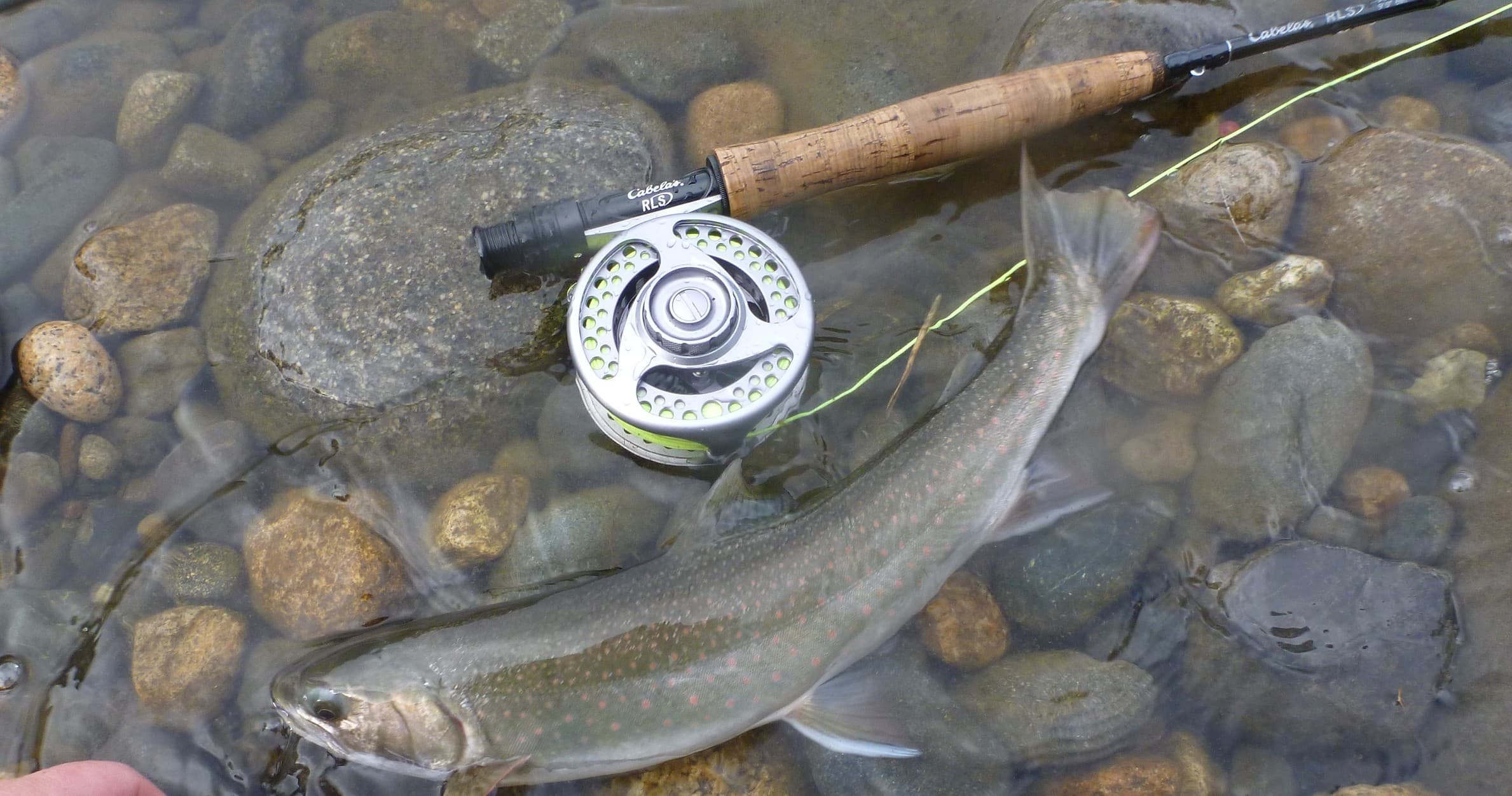 Private Fly Fishing Charter