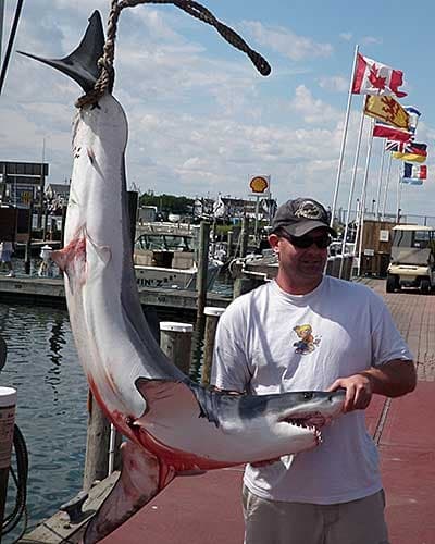 Offshore Sharks