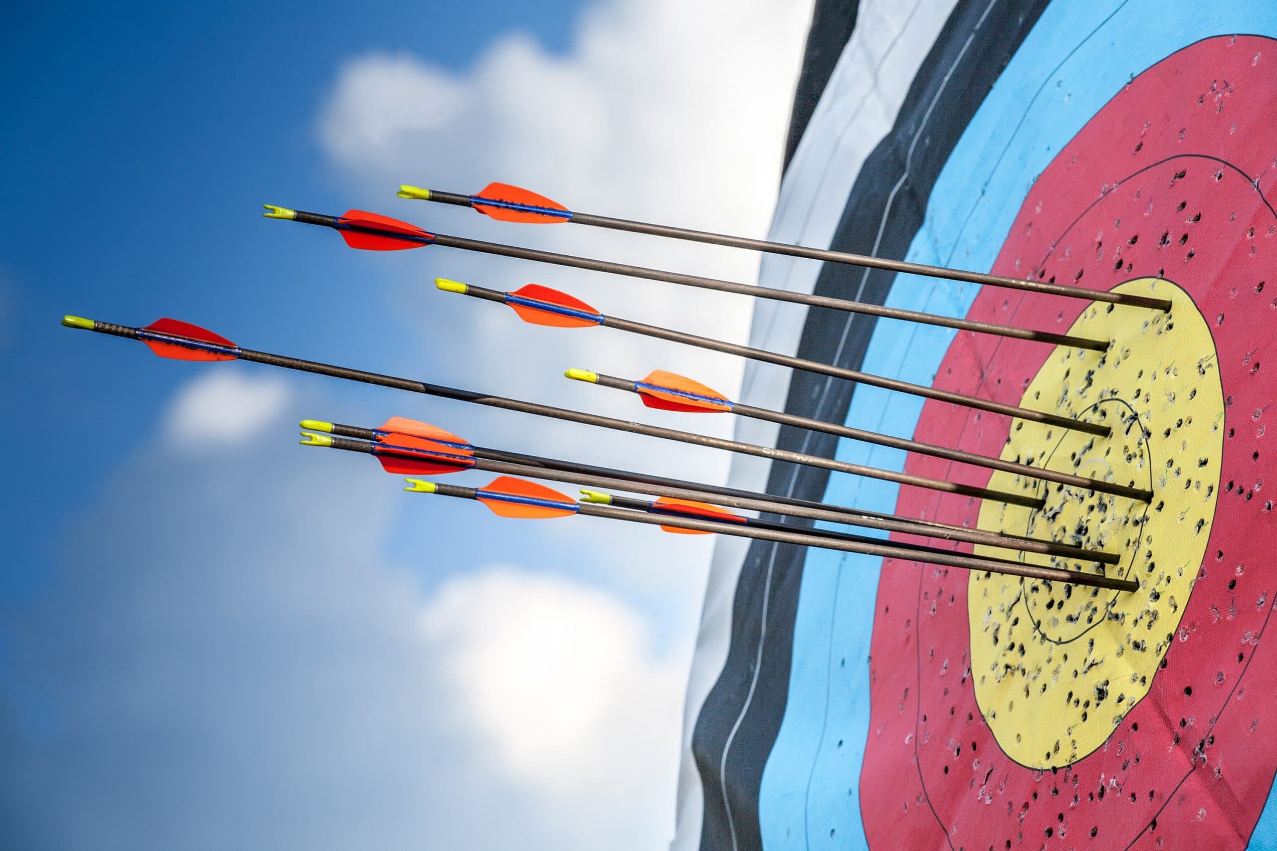 Archery Taster