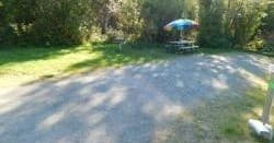 Camp Site 14