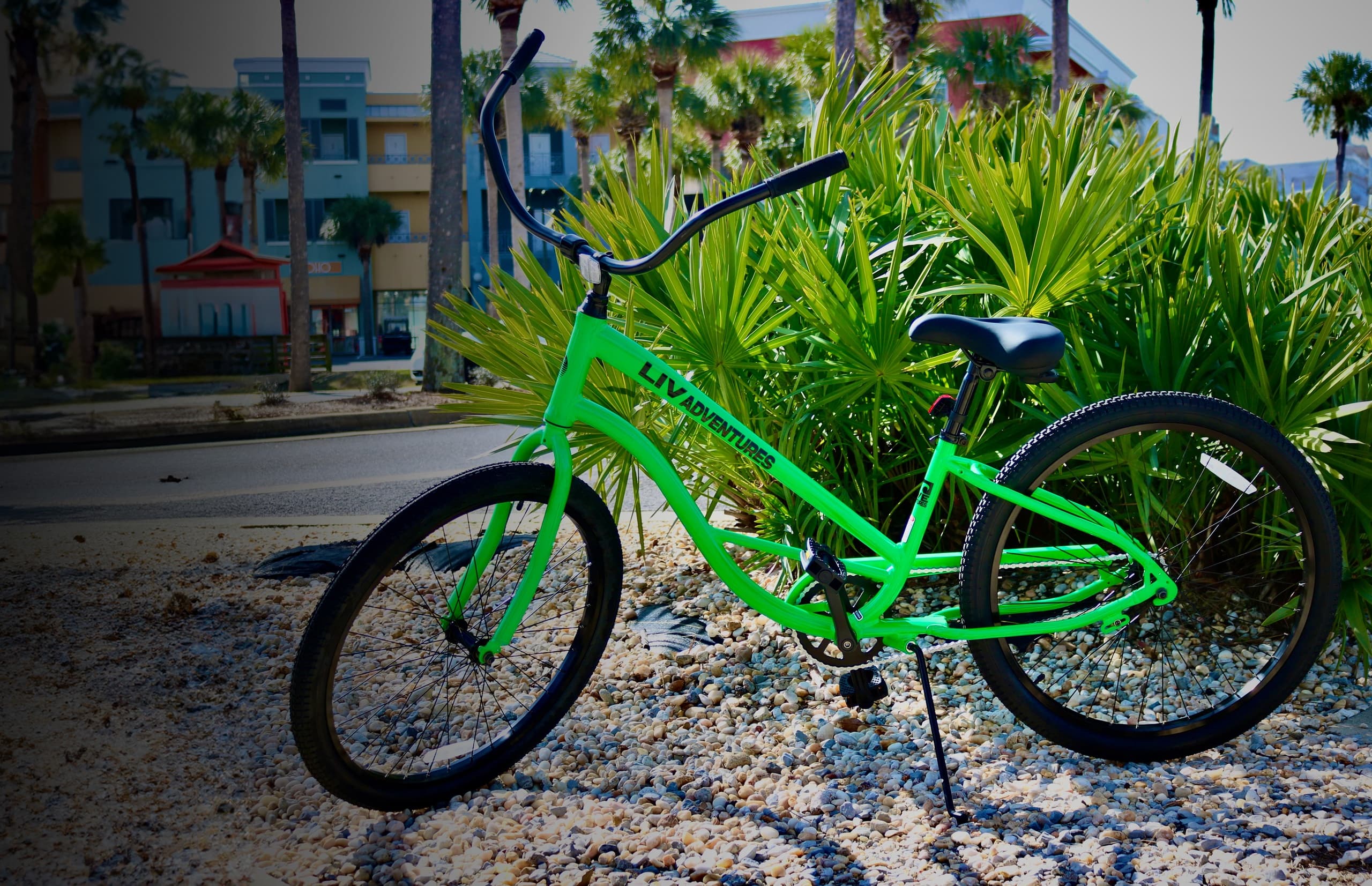 One Day Bicycle Rentals