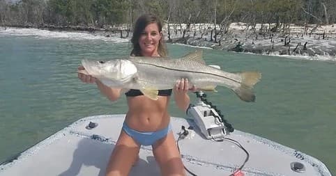 Fishing Charter